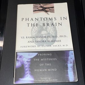 Phantoms in the brain